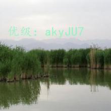 ˳