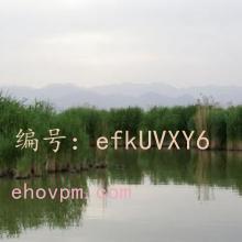 ᳹